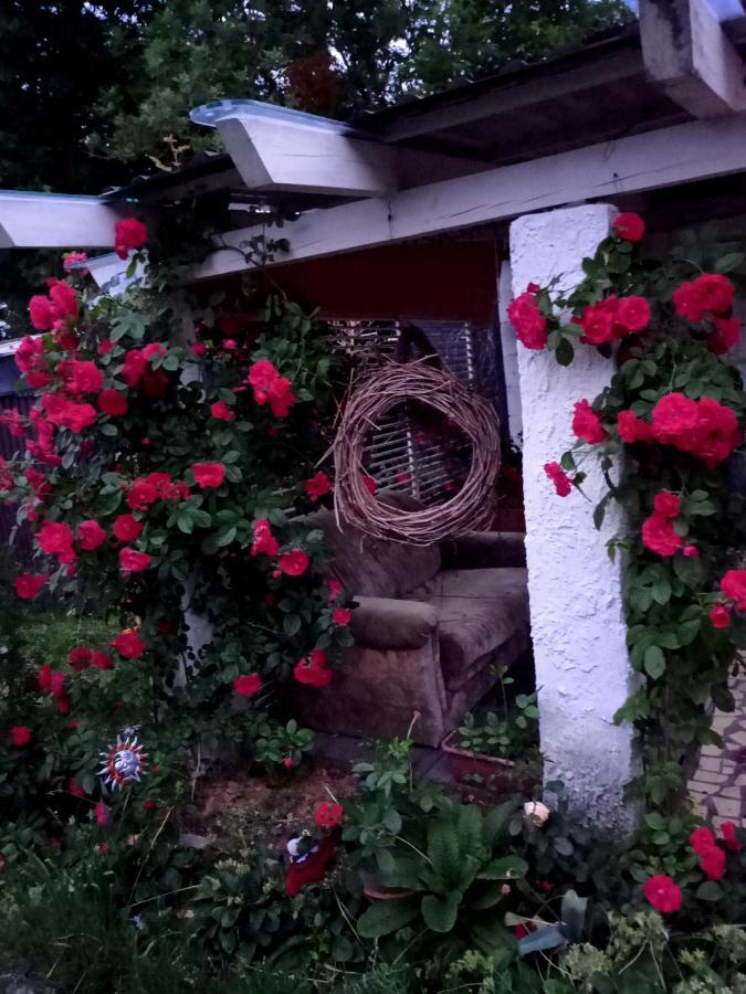 Agroturystyka "Pod Bluszczem" Краснобруд Екстер'єр фото